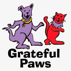 grateful paws premium pet supplies services grooming food doggie daycare leadville lake county colorado