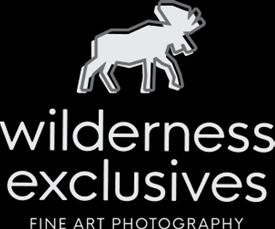 Wilderness Exclusives Fine Art Photography frisco summit colorado photographer artist gallery showroom
